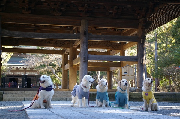 001922025kamakura2.jpg
