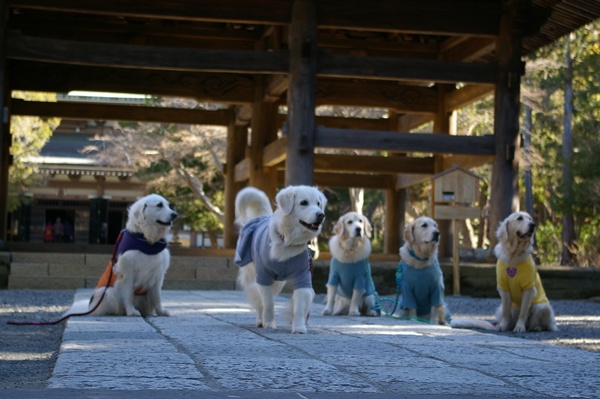 001922025kamakura3.jpg