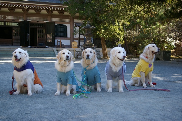 001922025kamakura4.jpg