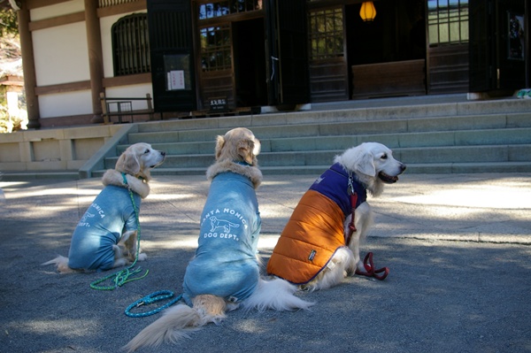 001922025kamakura5.jpg