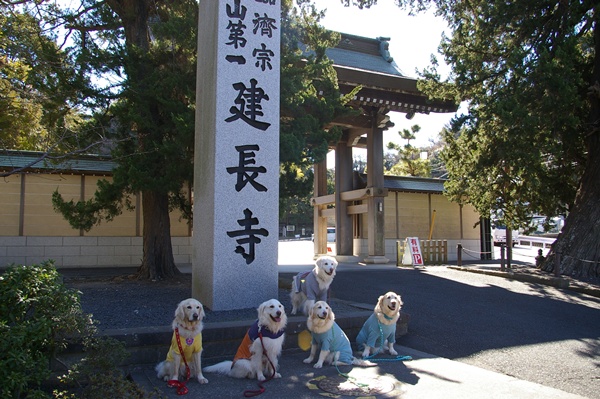 001922025kamakura7.jpg