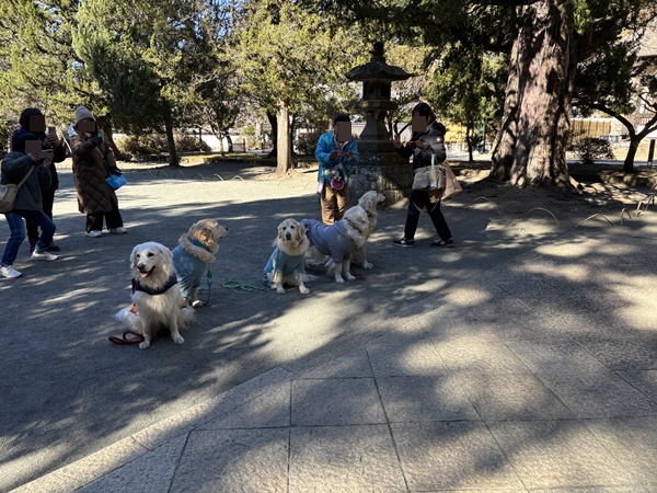 001922025kamakura8.jpg