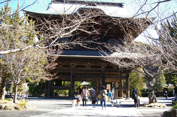 001922025kamakura92.jpg