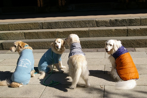 001922025kamakura93.jpg
