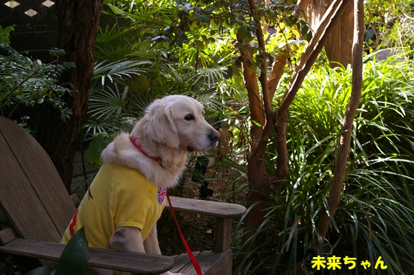 001922025komachi98.jpg