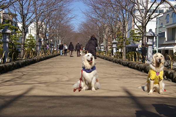 001922025komachi99.jpg