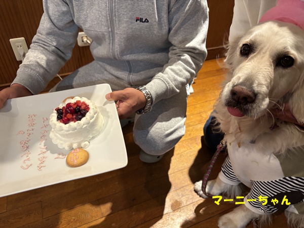 001922025ruby92.jpg