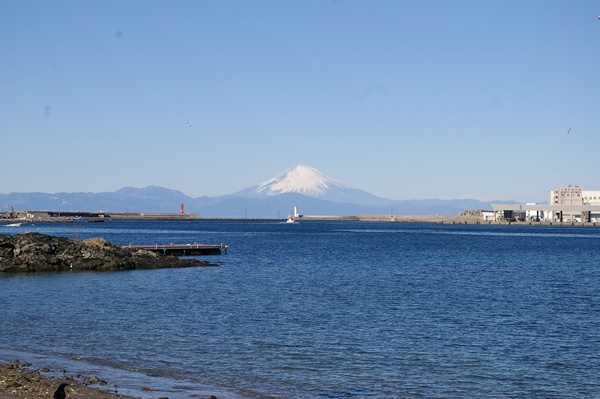 002022025jyougashima.jpg